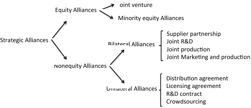 Fig. 1. Alliances typology