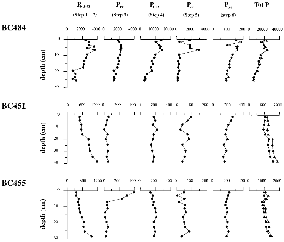 Fig. 3. Profiles of extracted P phases (ppm): PNH4Cl (steps 11 2), PFe (step 3), PCFA (step 4), Pdet (step 5), Pres(steps 61 7), total P, as measured after total destruction (O), and the sum of all extracted P phases (X). Note the different scales for BC484.