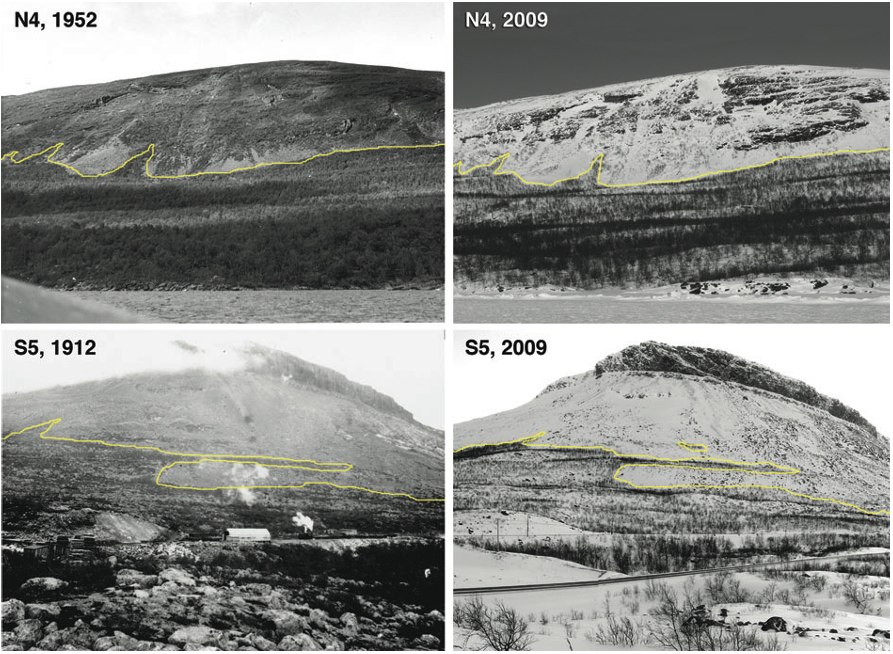 Fig. 6. Orographic tree line sites with an inclination >35° showed long-term stability.