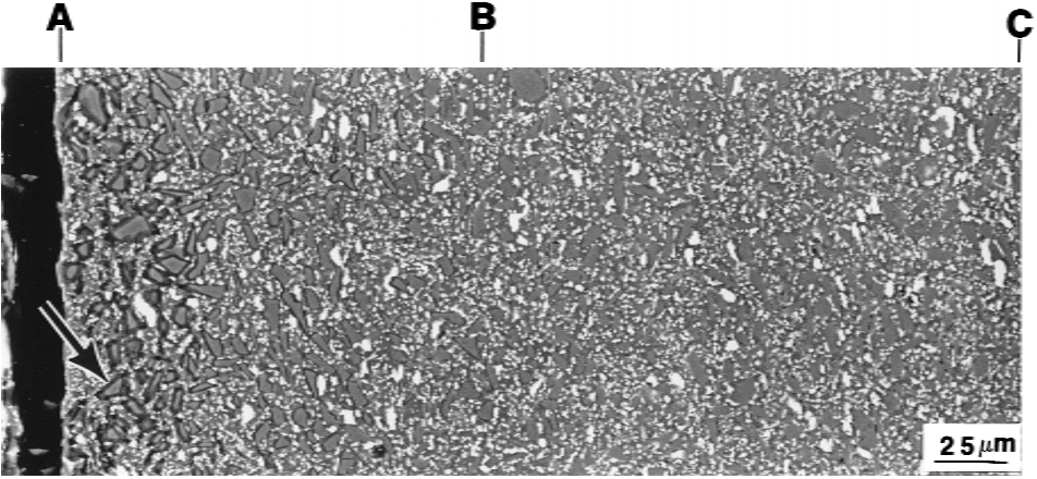 Fig. 6. SEM micrograph of a cross section of the MZY20/SiC composite after exposure at 1200°C for 500 h, revealing a variation of the oxidation of SiC particles with depth: region ‘‘A–B’’ corresponds to the white layer in Fig. 5(b), and region ‘‘B–C’’ corresponds to the black layer in Fig. 5(b).