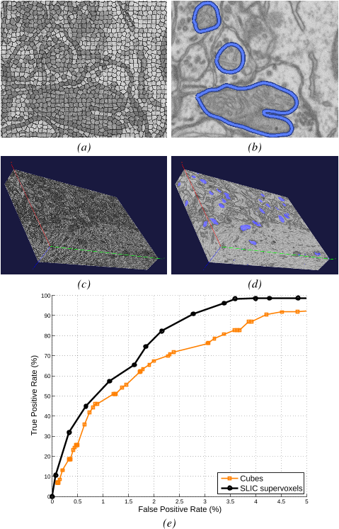 Fig. 6: SLIC applied to segment mitochondria from 2D and 3D EM images of neural tissue. (a) SLIC superpixels from an EM slice. (b) The segmentation result from the method of [18]. (c) SLIC supervoxels on a 1024 × 1024 × 600 volume. (d) Mitochondria extracted using the method described in [19]. (e) Segmentation performance comparing SLIC supervoxels vs. cubes of similar size for the volume in (c).