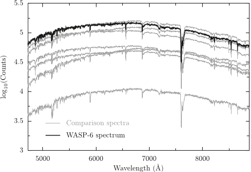 Figure 1. Extracted spectra for WASP-6 and the seven comparison stars used in this work for a typical exposure.