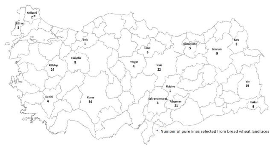 Figure 1. Origin of pure lines selected from Turkish bread wheat landraces