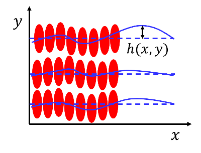 Figure 14. A smectic liquid crystal is a layered structure of liquid crystals (red ellipsoid) and the function h(x, y) quantifies the deviation of the layer at position (x, y) from the expected location.