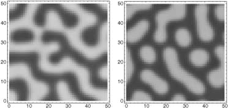 Figure 17. Numerical simulations of the reaction–diffusion model (equations 22) in two spatial dimensions.