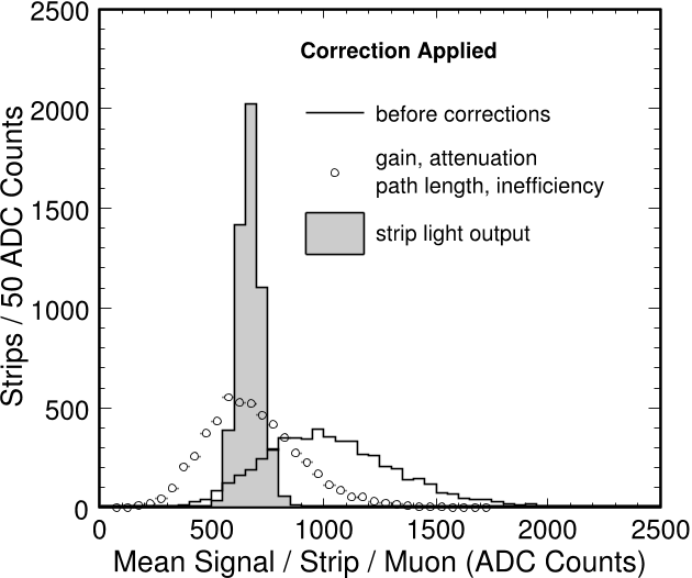Figure 2.9: Raw and calibrated mean scintillator strip signal induced by muons produced in beam neutrino interactions in the near detector. The continuous line shows the raw signal before any corrections. Open circles show the signal with corrections accounting for variations in channel gain, attenuation in optical fiber, and strip light output. The solid histogram includes additional corrections for a non-uniform response of the scintillator and WLS fiber. This figure was taken from [52].
