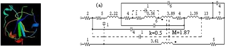 Figure 2. 'Protein circuit' for thioredoxin (tertiary elements/effects are in dashed lines)