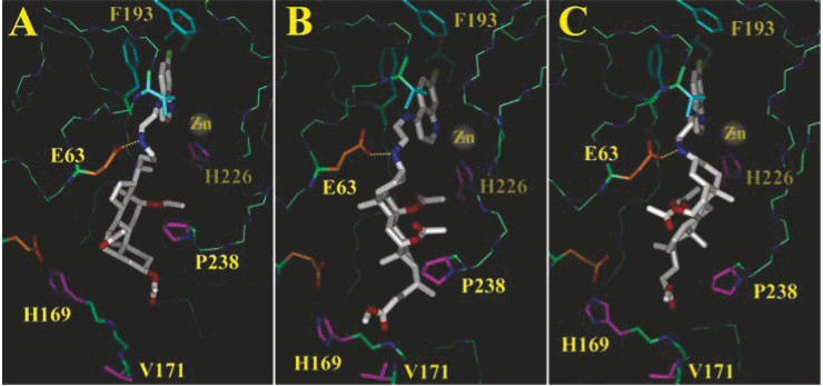 Figure 3. Docked models of SMNPIs1-3. Inhibitors are depicted in thicker stick with white carbons. Carbons of binding subsite 1 residues are cyan, of binding subsite 2 are magenta, and of the polar contact region are orange. All other carbons are green. Oxygen atoms are red, and nitrogen atoms are blue. The yellow dashed line indicates a hydrogen bond. (A, B, and C) Docked models of SMNPIs1, 2, and3, respectively.