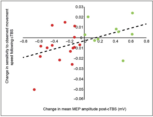 Figure 4. Magnitude of MEP suppression predicts change in sensitivity to movement speed following cTBS. A linear regression analysis demonstrates a significant predictive relationship between the mean change in MEP amplitude and change in sensitivity (gradient) following cTBS (parametric: r2 = .21, p = .023; nonparametric: rs = −.048, p = .019). Facilitation group: green; inhibition group: red.