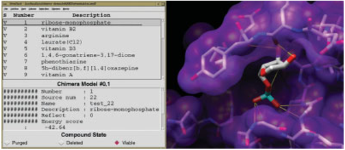 Figure 4. The ViewDock interface lists docked molecules; clicking on a line displays just the corresponding molecule and shows its information in the lower part of the panel. Ribose monophosphate is shown docked to H-Ras (121p48). Carbon atoms are light gray, oxygen atoms are red, nitrogen atoms are blue, and phosphorus atoms are cyan. Hydrogens are not shown. Potential hydrogen bonds are indicated with yellow lines.