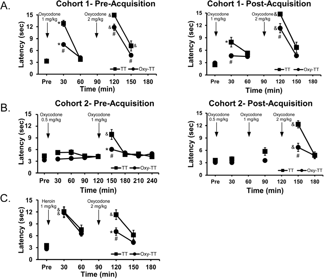 Figure 4. Vaccination ameliorates antinociceptive effect of oxycodone. Mean (±SEM) tail-withdrawal latency in Oxy-TT (N=12) vaccinated rats as compared to TT (N=11-12) control rats prior to and post-IVSA training in A) Cohort 1 and B) Cohort 2. C) In Cohort 1, a non-contingent injection heroin (1 mg/kg, s.c.) showed no difference between groups, but persistence of the difference after oxycodone injection (2 mg/kg, s.c.). Post hoc tests: Significant differences between the groups is indicated with #. Significant differences within group compared with Pre are indicated by * and compared with the most prior observation before a drug injection (60 or 120 min) with &.