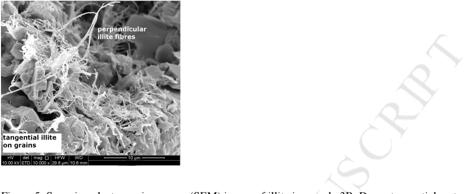Figure 5: Scanning electron microscopy (SEM) image of illite in sample 3B. Dense tangential mats of illite can be seen on the grain surface as well as illite fibres that protrude into the pore space perpendicular to grains.