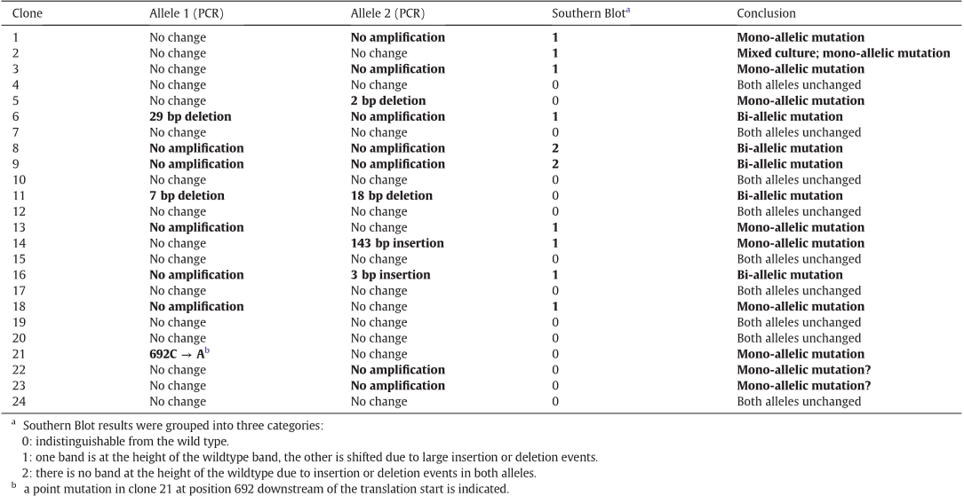 Table 1 Evaluation of the screening of the two alleles via PCR and Southern Blot. Detected mutagenic events are indicated in bold.